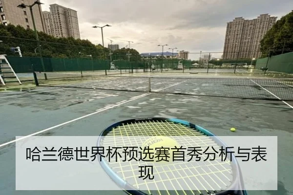 哈兰德世界杯预选赛首秀分析与表现